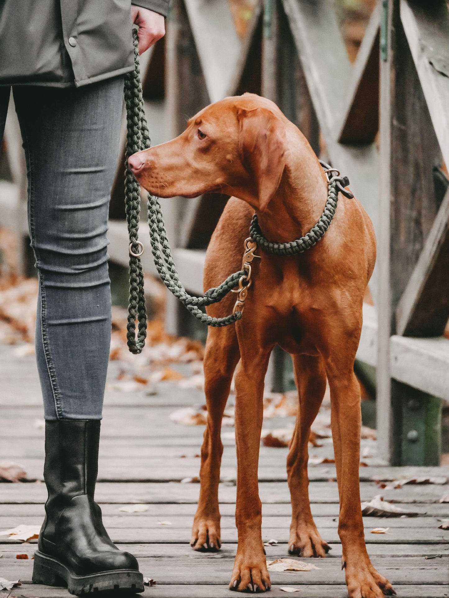 Maritime Dog Leash - Military