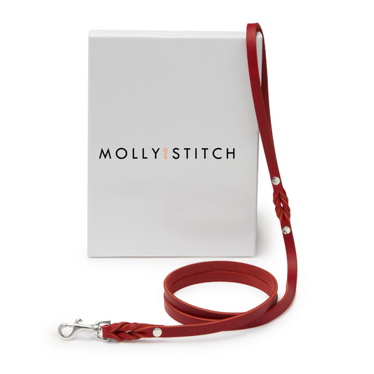 Butter Leather City Dog Leash - Chili Red