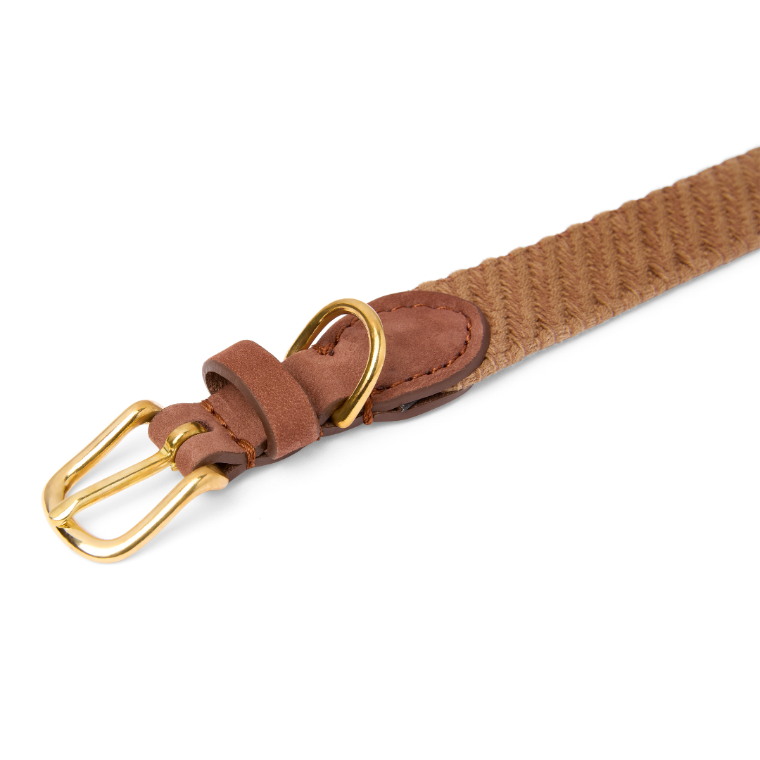 Serrana Dog Collar - Whiskey