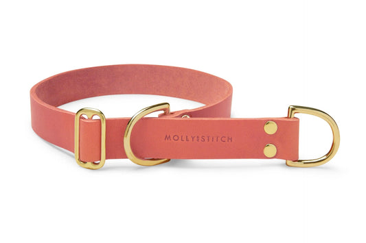 Butter Leather Retriever Dog Collar - Coral Pink