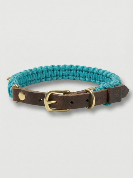 Touch of Leather Dog Collar - Santorini (Limited Edition)