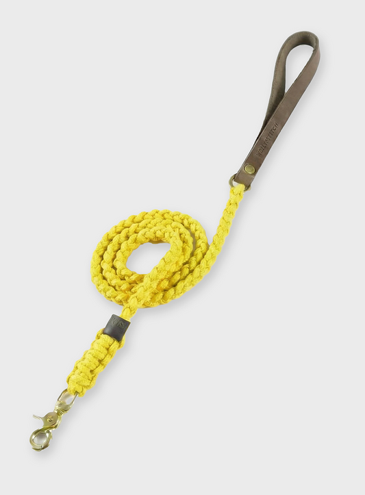 Touch of Leather Dog Leash - Mediterranean (Limited Edition)