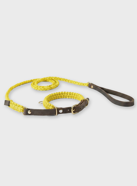 Touch of Leather Retriever Dog Leash - Mediterranean Sun (Limited Edition)