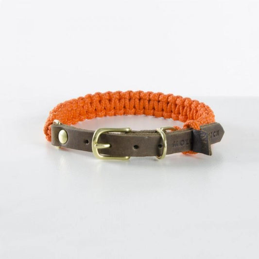Touch of Leather Dog Collar - Pumpkin