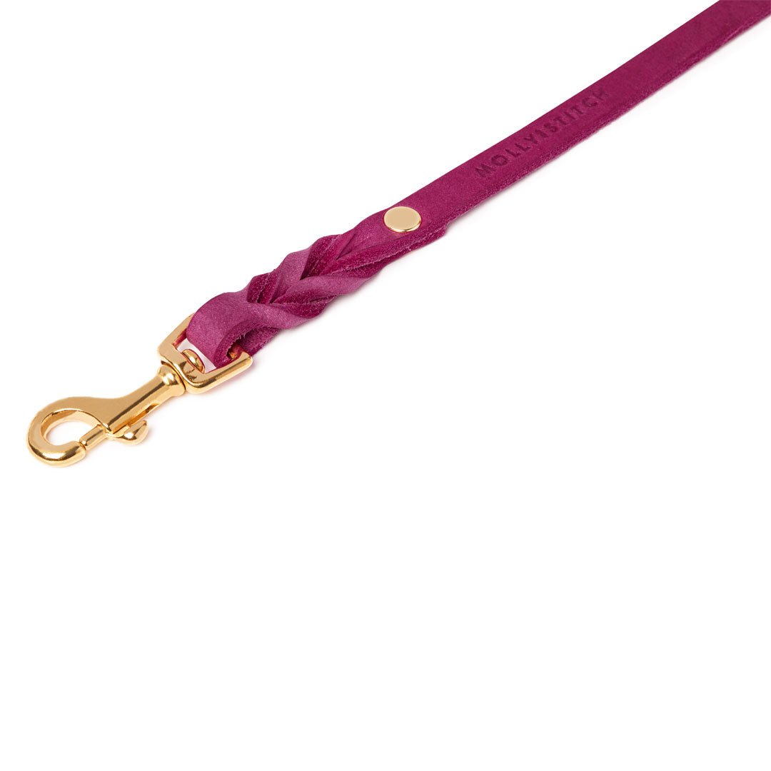 Butter Leather City Dog Leash - Flamingo